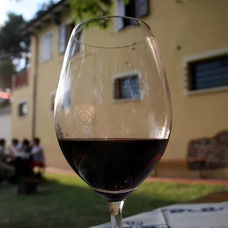 Appartamento Agriturismo Fiammetta San Savino (Rimini)
